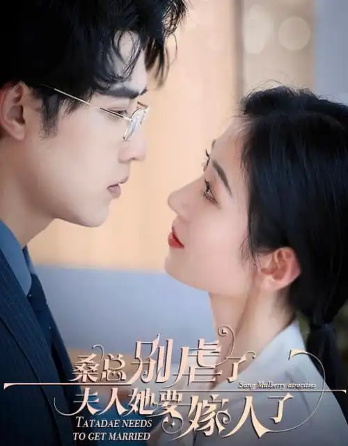 齿轮与麦田 在线观看封面